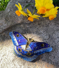 Load image into Gallery viewer, Mystic Moth brooch