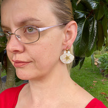 Load image into Gallery viewer, Starfish Shell Earrings