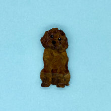Load image into Gallery viewer, Chocolate Cavoodle Brooch