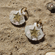 Load image into Gallery viewer, Starfish Shell Earrings
