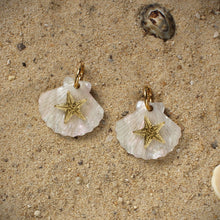 Load image into Gallery viewer, Starfish Shell Earrings