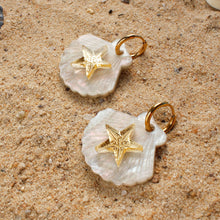 Load image into Gallery viewer, Starfish Shell Earrings
