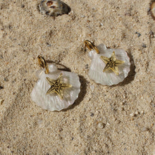 Load image into Gallery viewer, Starfish Shell Earrings