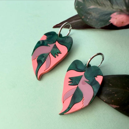 Philodendron Pink Princess Earrings