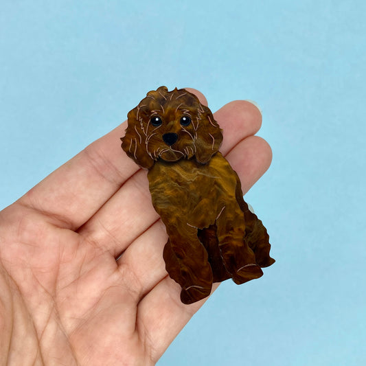 Chocolate Cavoodle Brooch