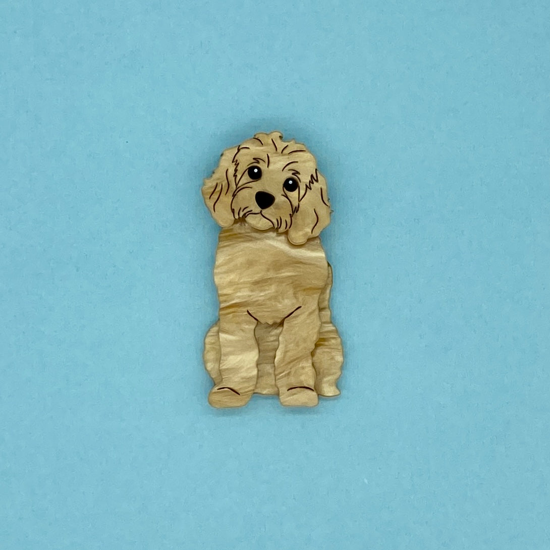 Apricot Cavoodle Brooch