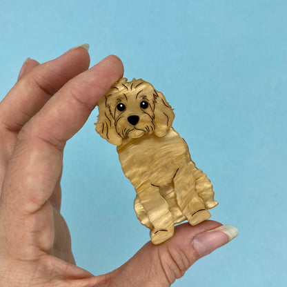 Apricot Cavoodle Brooch