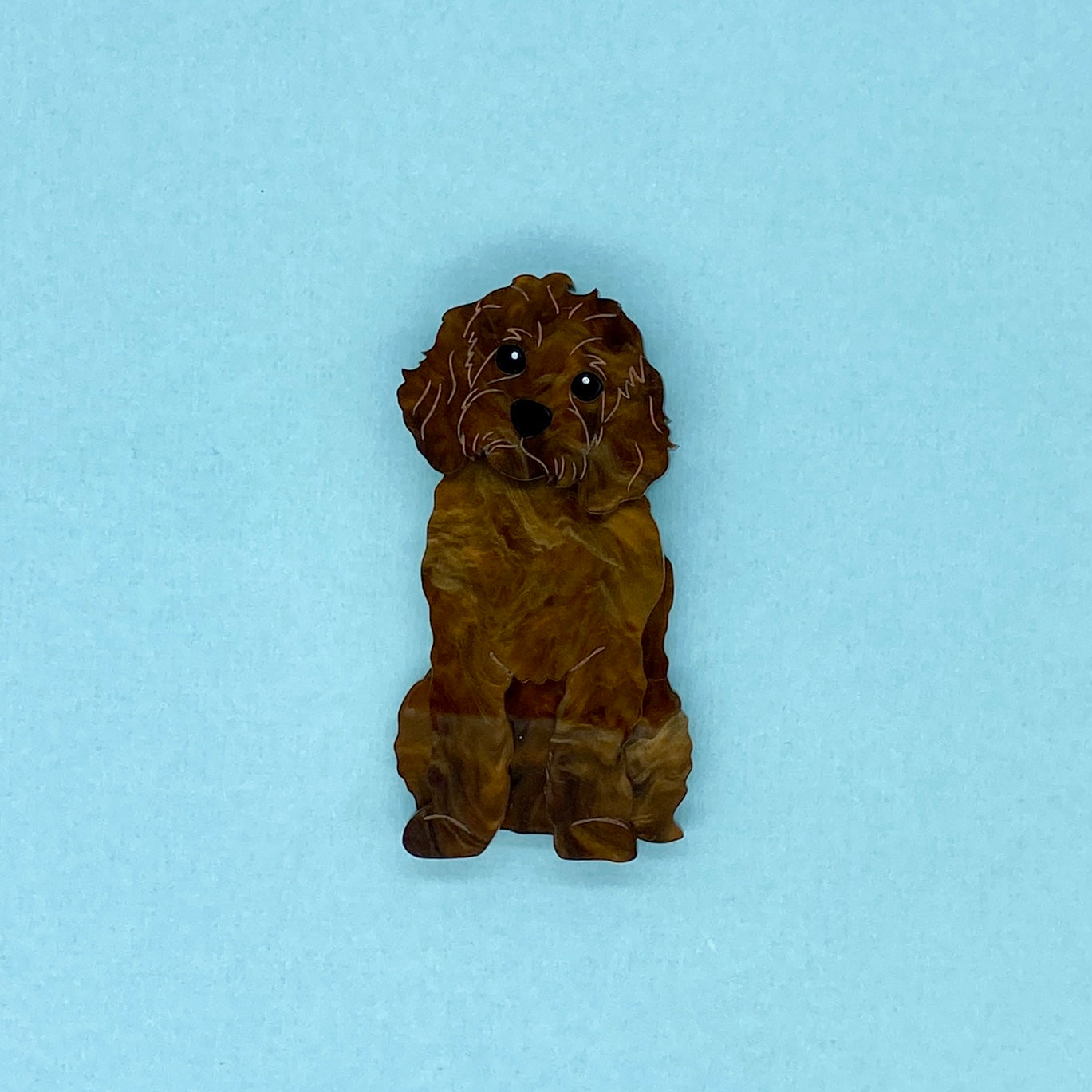 Chocolate Cavoodle Brooch
