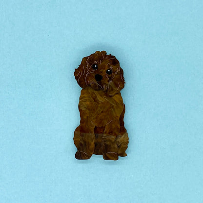 Chocolate Cavoodle Brooch