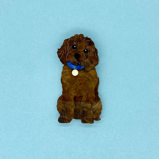 Chocolate Cavoodle Brooch