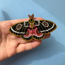 Load image into Gallery viewer, Zaddach&#39;s Emperor Moth Brooch
