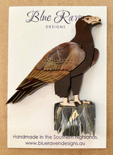 Load image into Gallery viewer, SECONDS Wedge-Tailed Eagle Brooch (A)
