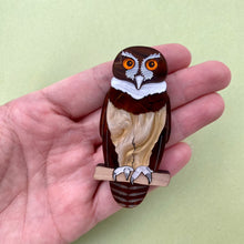 Load image into Gallery viewer, Soto the Spectacled Owl brooch
