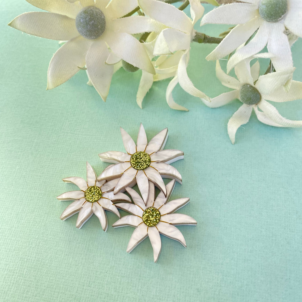 Flannel Flower brooch