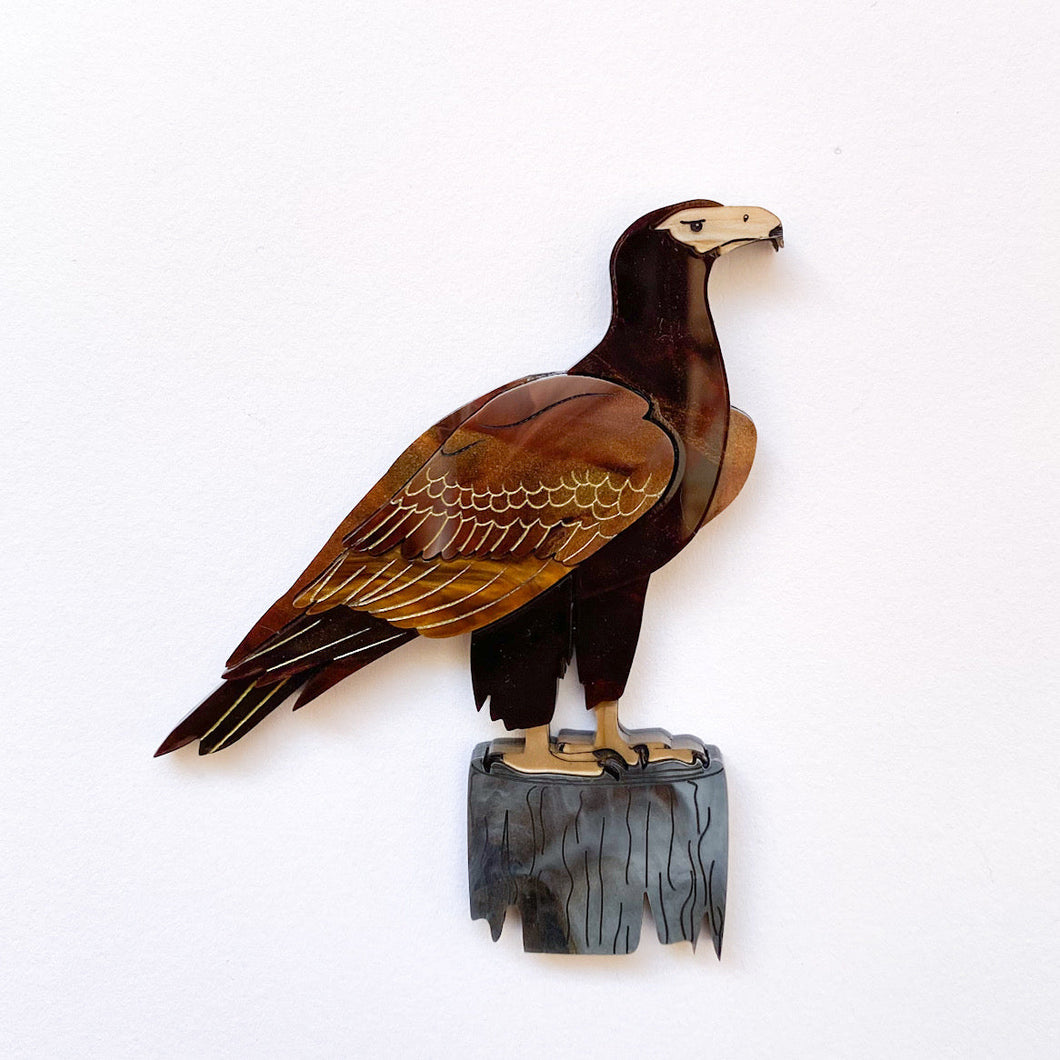 Preorder Wedge-Tailed Eagle brooch