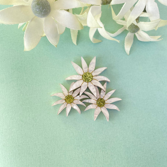 Flannel Flower brooch