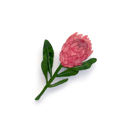 Protea brooch