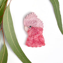 Load image into Gallery viewer, Pink Floyd brooch

