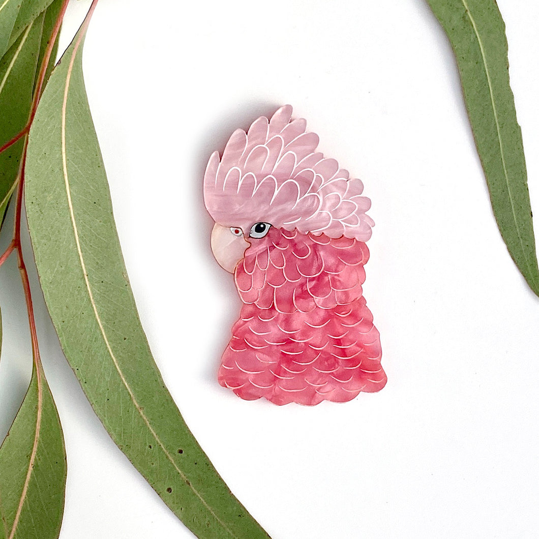 Pink Floyd brooch