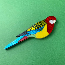 Load image into Gallery viewer, Eastern Rosella brooch
