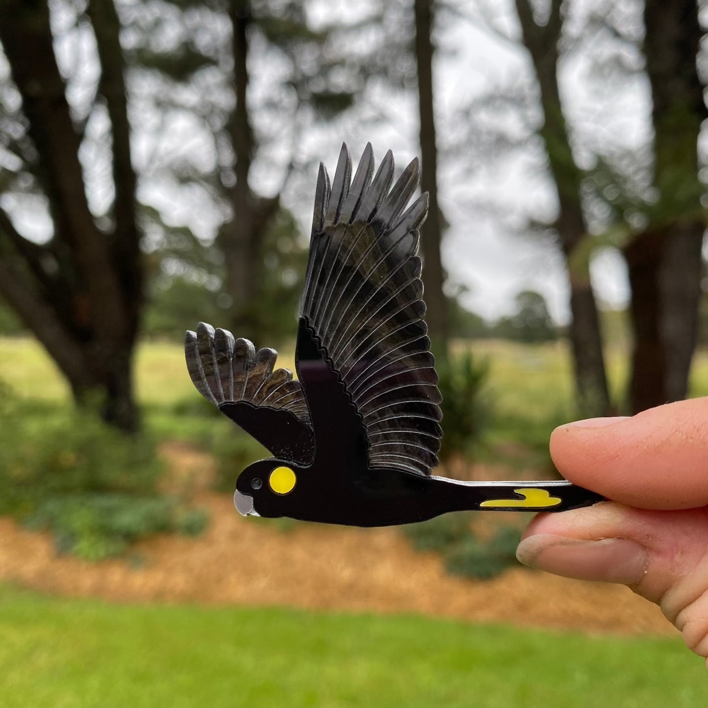 Yellow-Tailed Black Cockatoo brooch